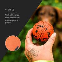 Non-Stop Dogwear Ball Dog Toy